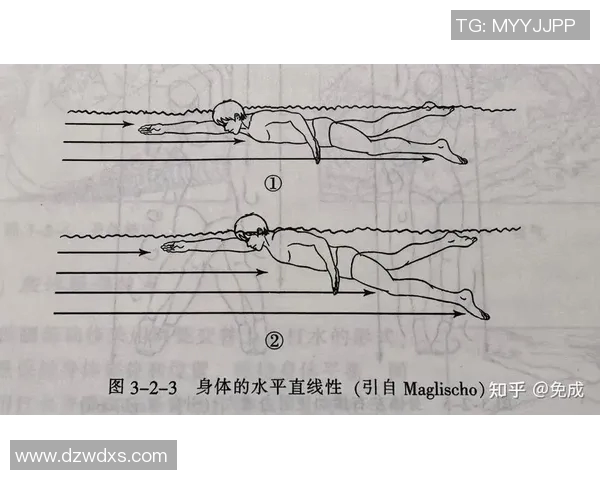 自由泳呼吸技巧详解如何提高呼吸效率与游泳速度